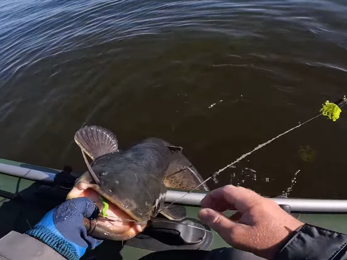 Фото: Роман Болдов / ВКонтакте