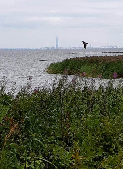 Морской пейзаж Александрии /фото из личного архива, 2019/