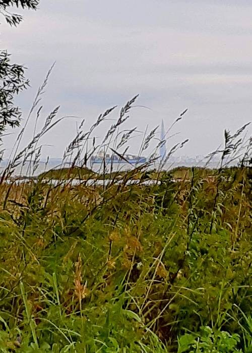 Морской пейзаж Александрии /фото из личного архива, 2019/