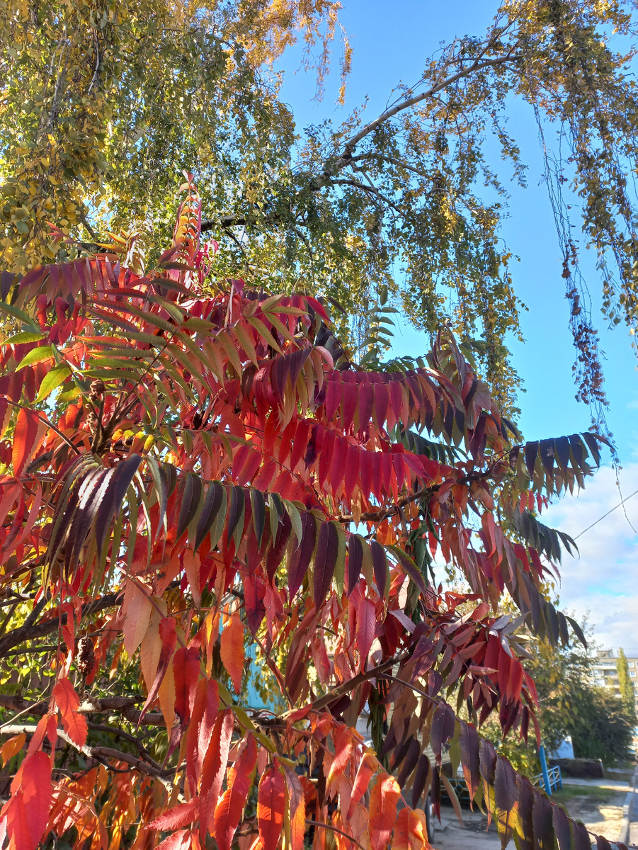 Фото личное