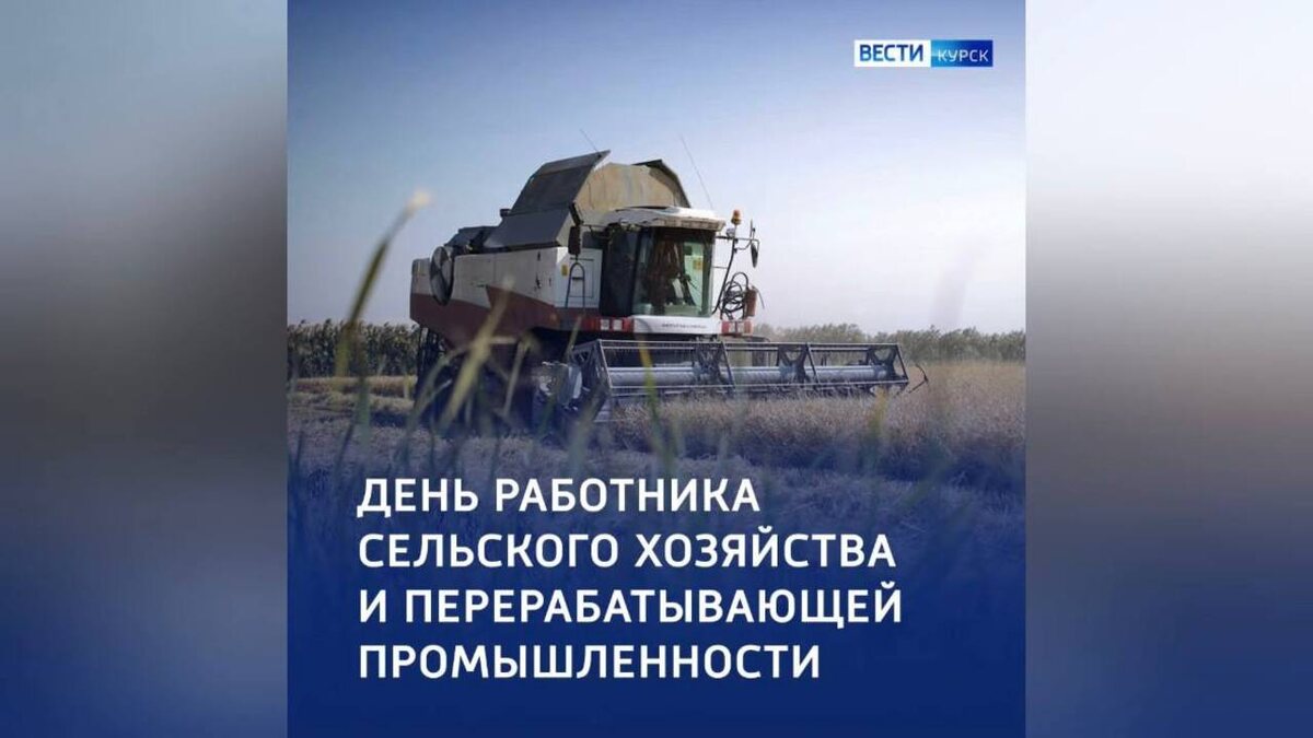    Сегодня куряне отмечают День работника сельского хозяйства и перерабатывающей промышленности