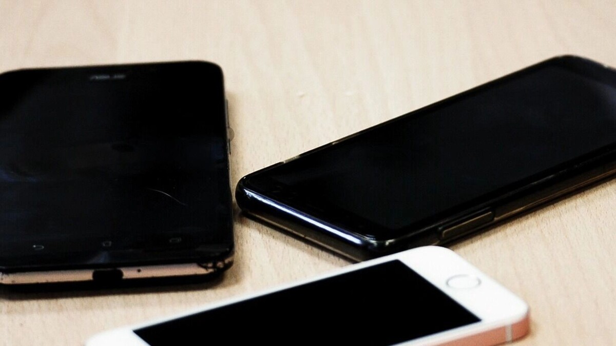 В России распространяется новый вирус ClayRat. Фото: 1MI