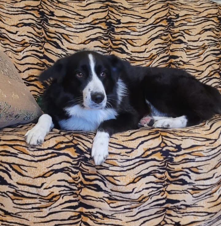 Возможно, именно вы сможете ему помочь