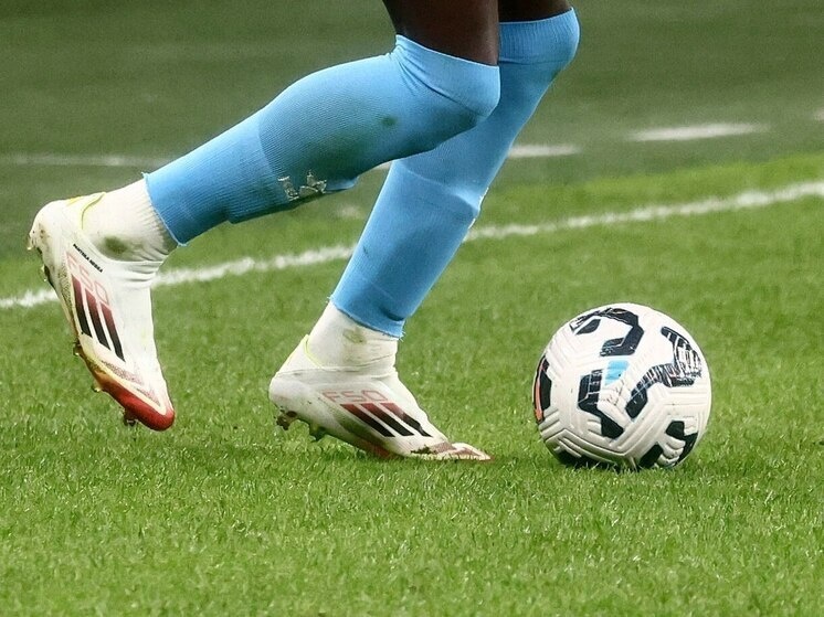     Фото: архив МК в Питере / Дарья Иванова.