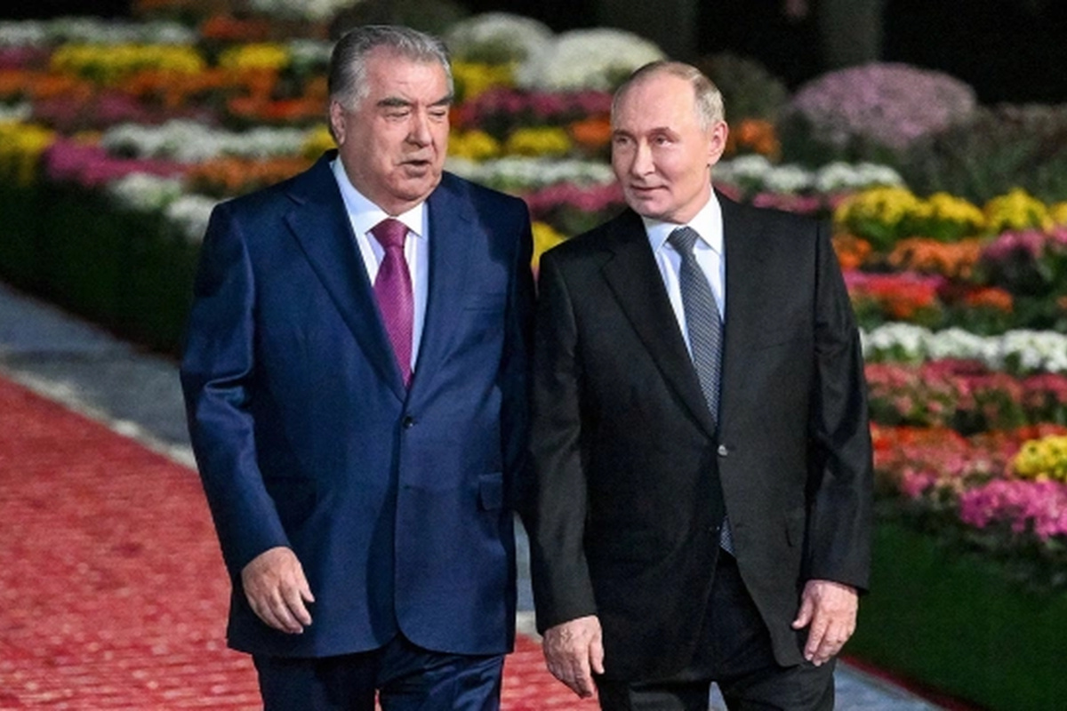    Фото: Кристина Кормилицына, источник: ria.ru