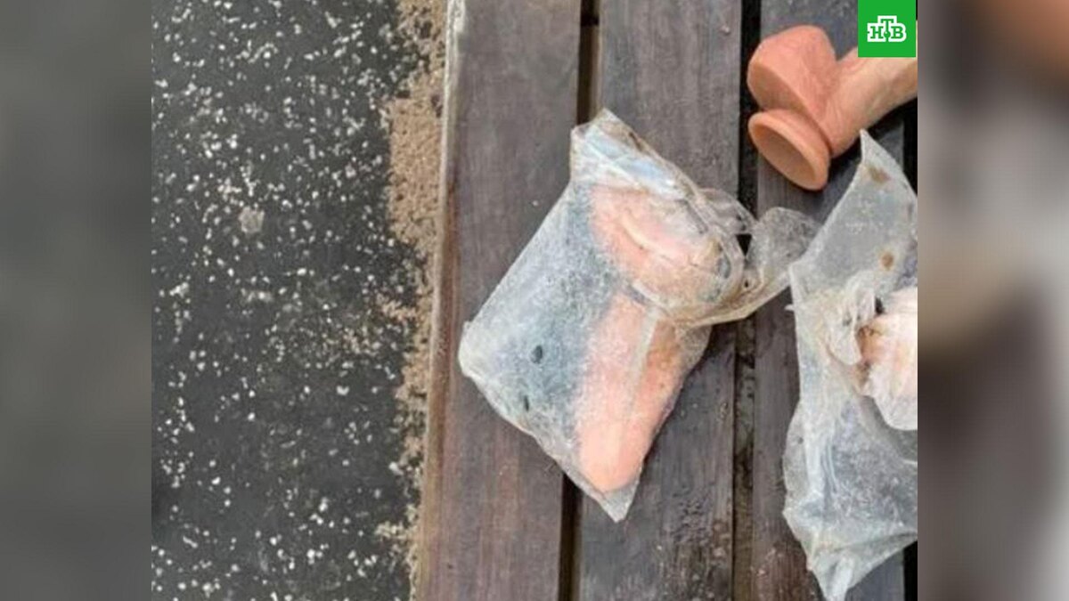    Фото: соцсети