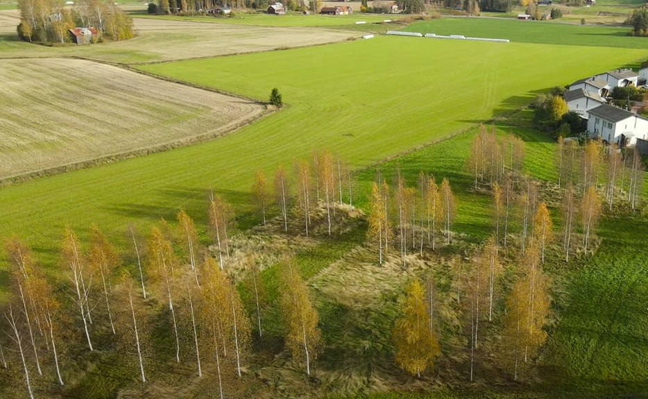 Фото: Prt Scr youtube.com / PR Film