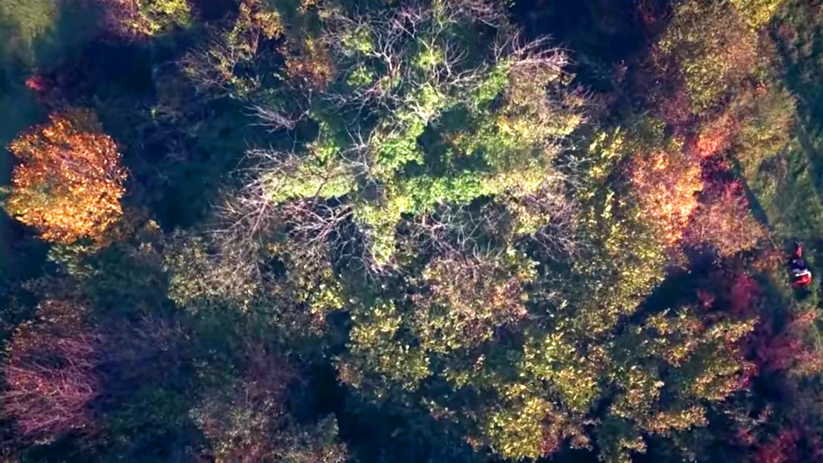 Эртугрул гази и Халиме султан