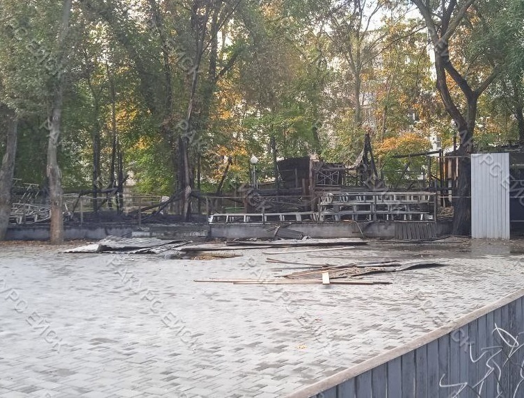    Фото: соцсети