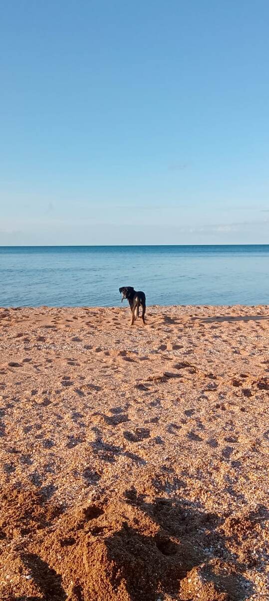 Изображение создано автором канала "ГерАтриум"