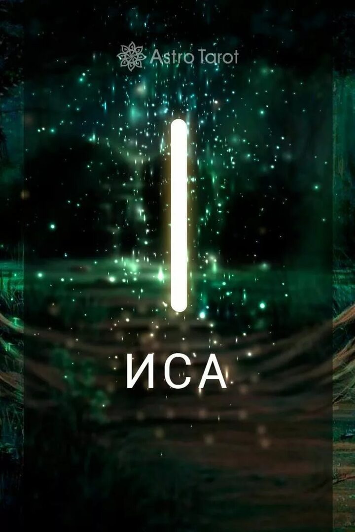 Основа нашего организма...