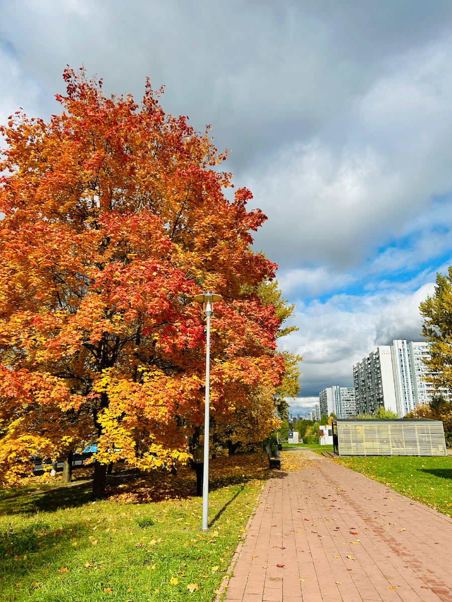 Фото автора 