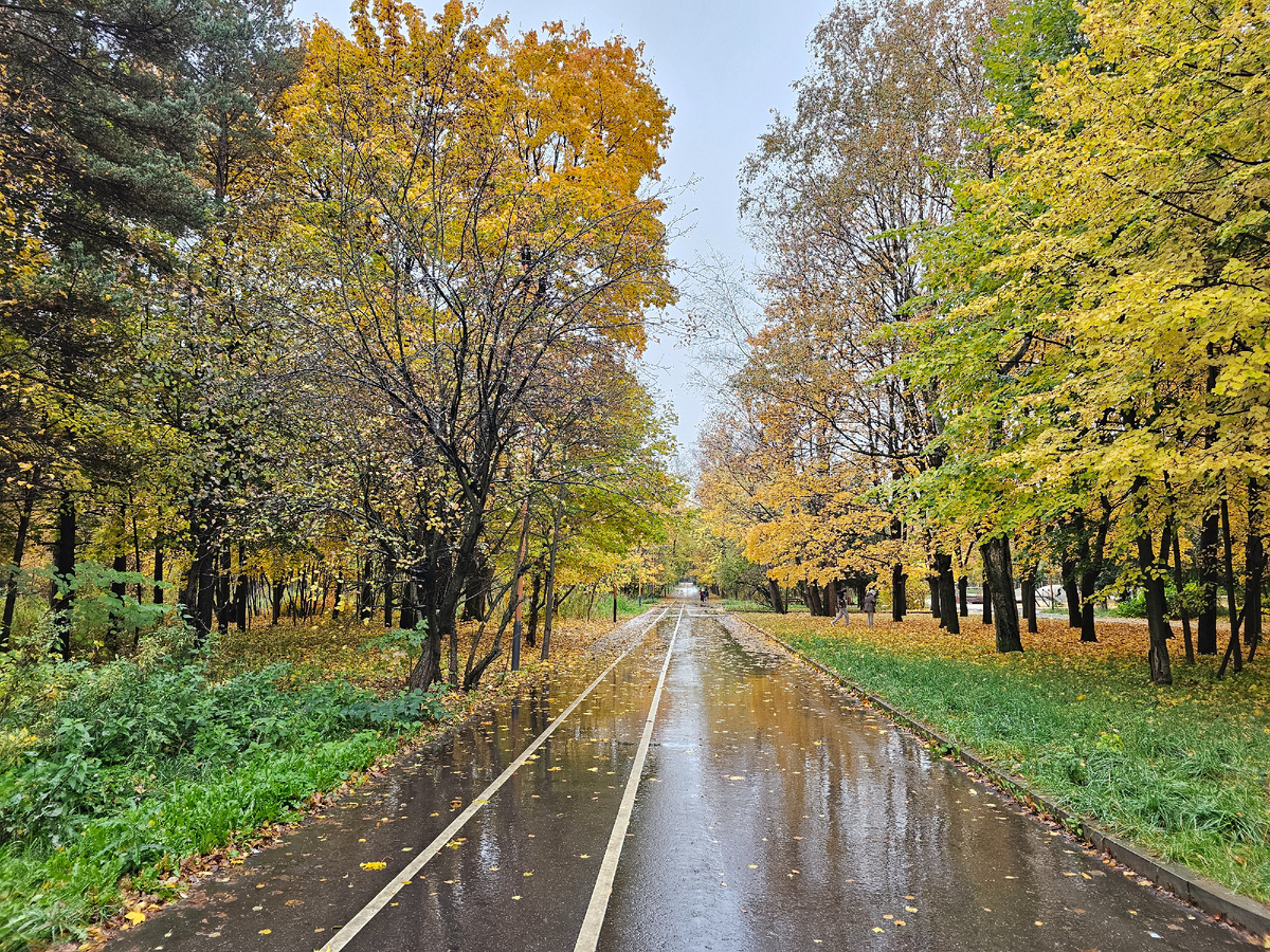 Кусково, фото автора