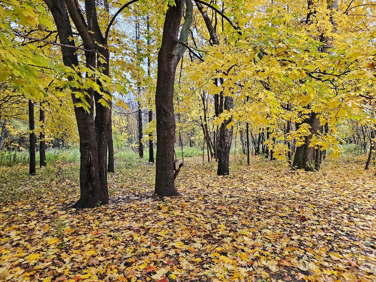 Кусково, фото автора