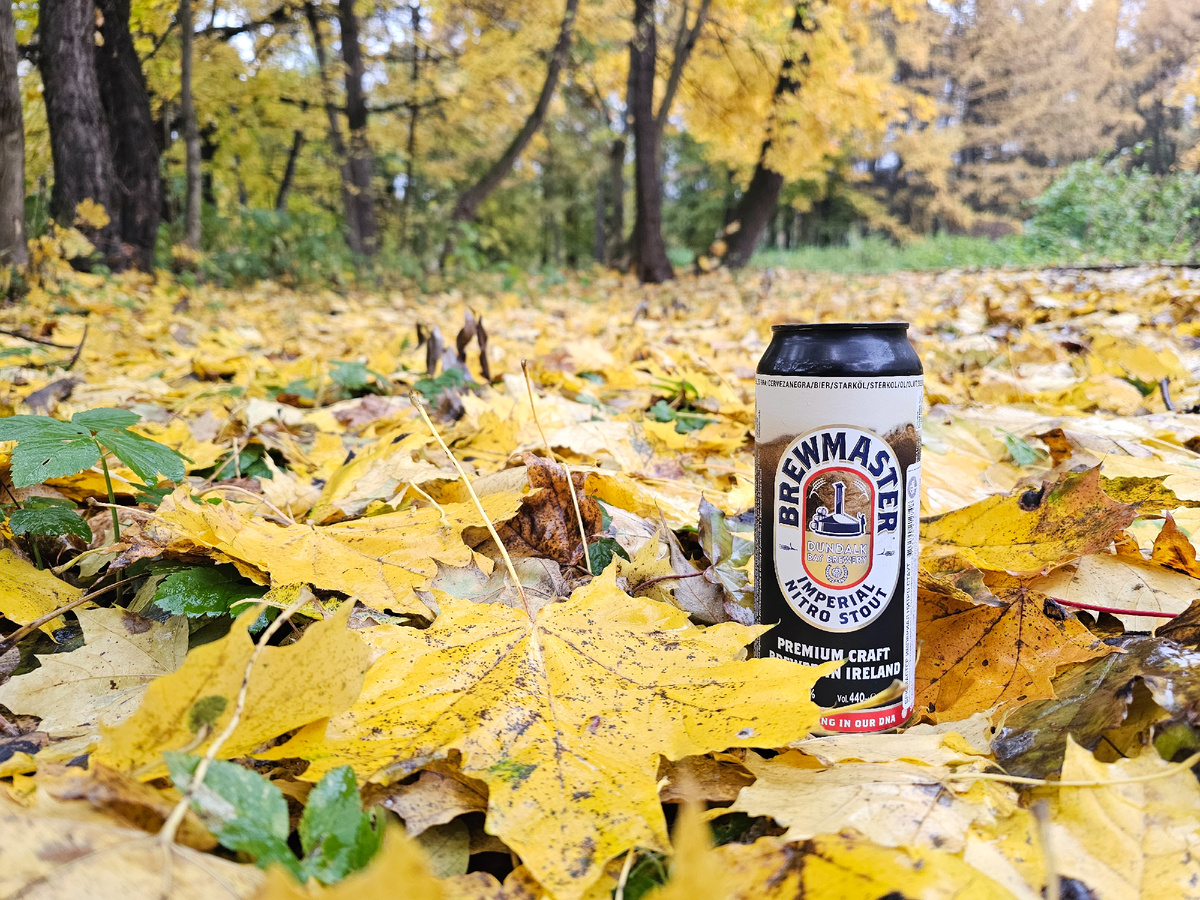 Brewmaster Imperial Nitro Stout, фото автора