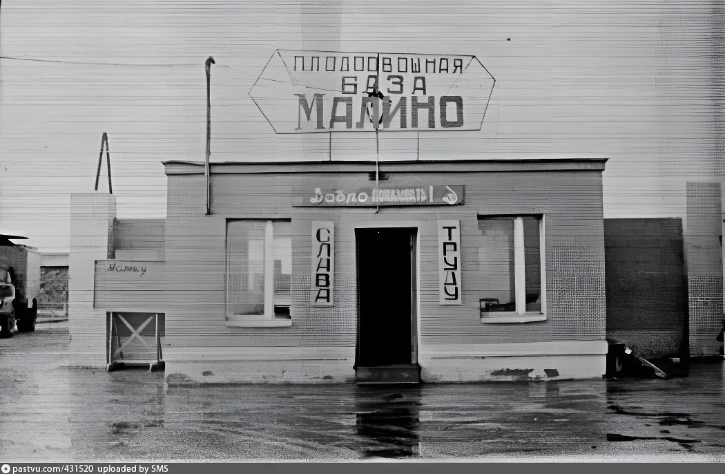 Плодоовощная база "Малино", 1968 – 1975 г. Лозунг "Слава труду" встречал приехавших на сортировку овощей научно-технических работников. Из архива негативов SMS.