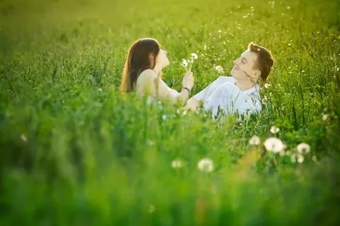 Картина из открытого источника сети Интернет.