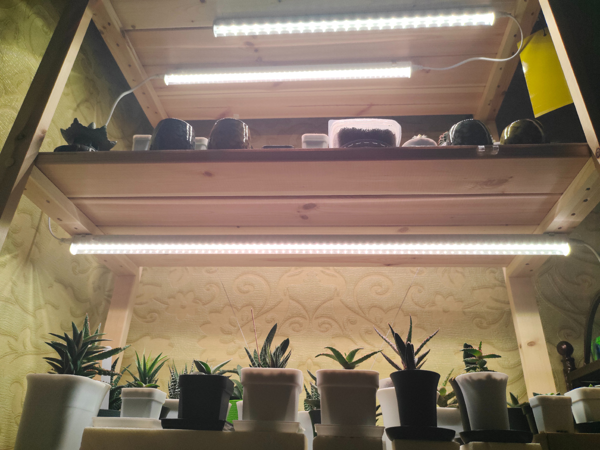 Рисунок 1 - Фитолампы. 