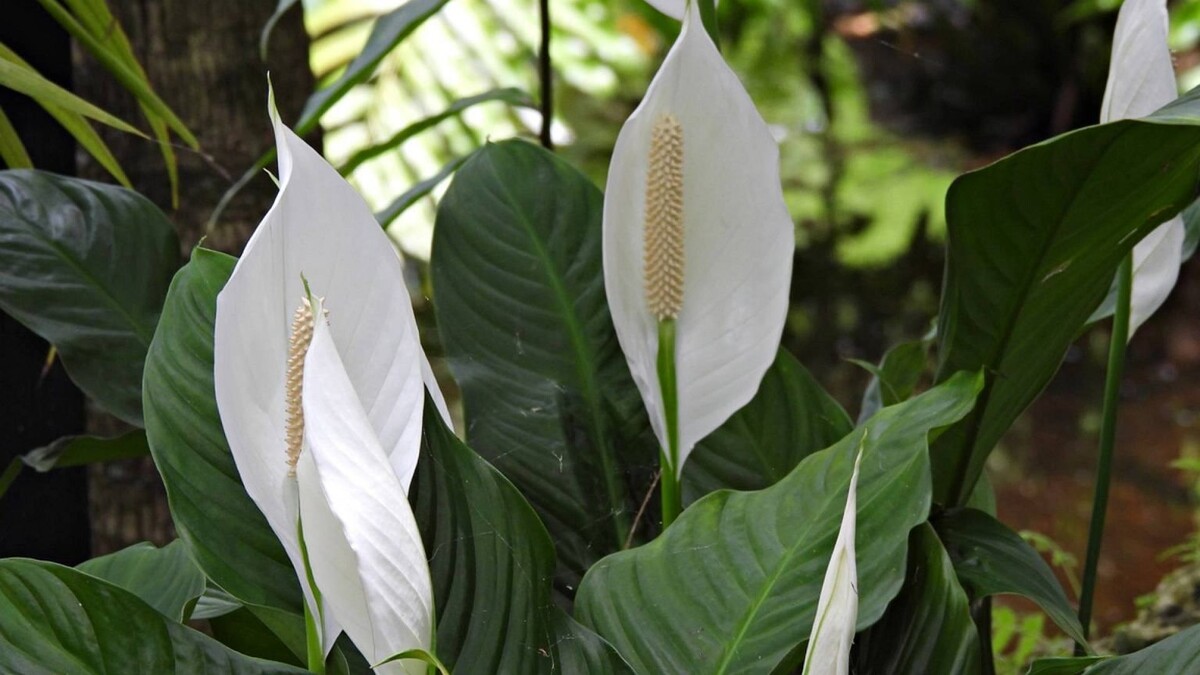 Источник фото: express.co.uk