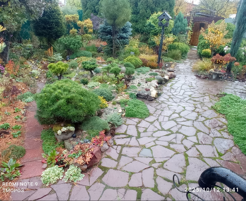 почти без изменений много лет