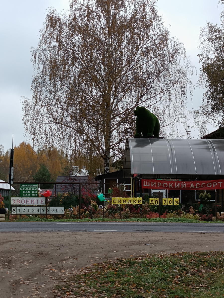 Фото автора статьи 