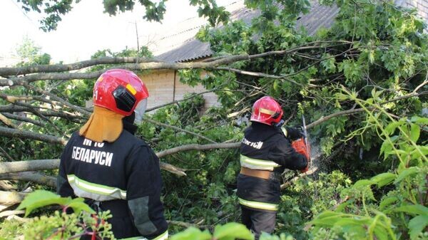    © МЧС Беларуси