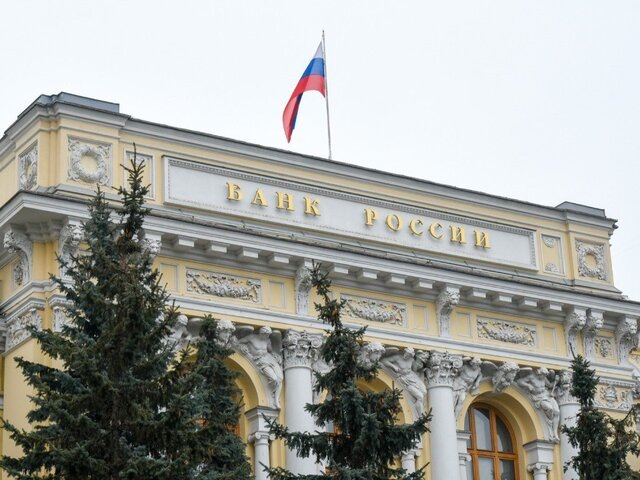    Фото: Москва 24/Никита Симонов