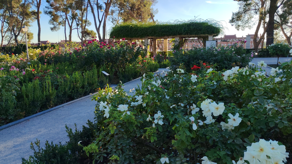 Розарий Мадрид