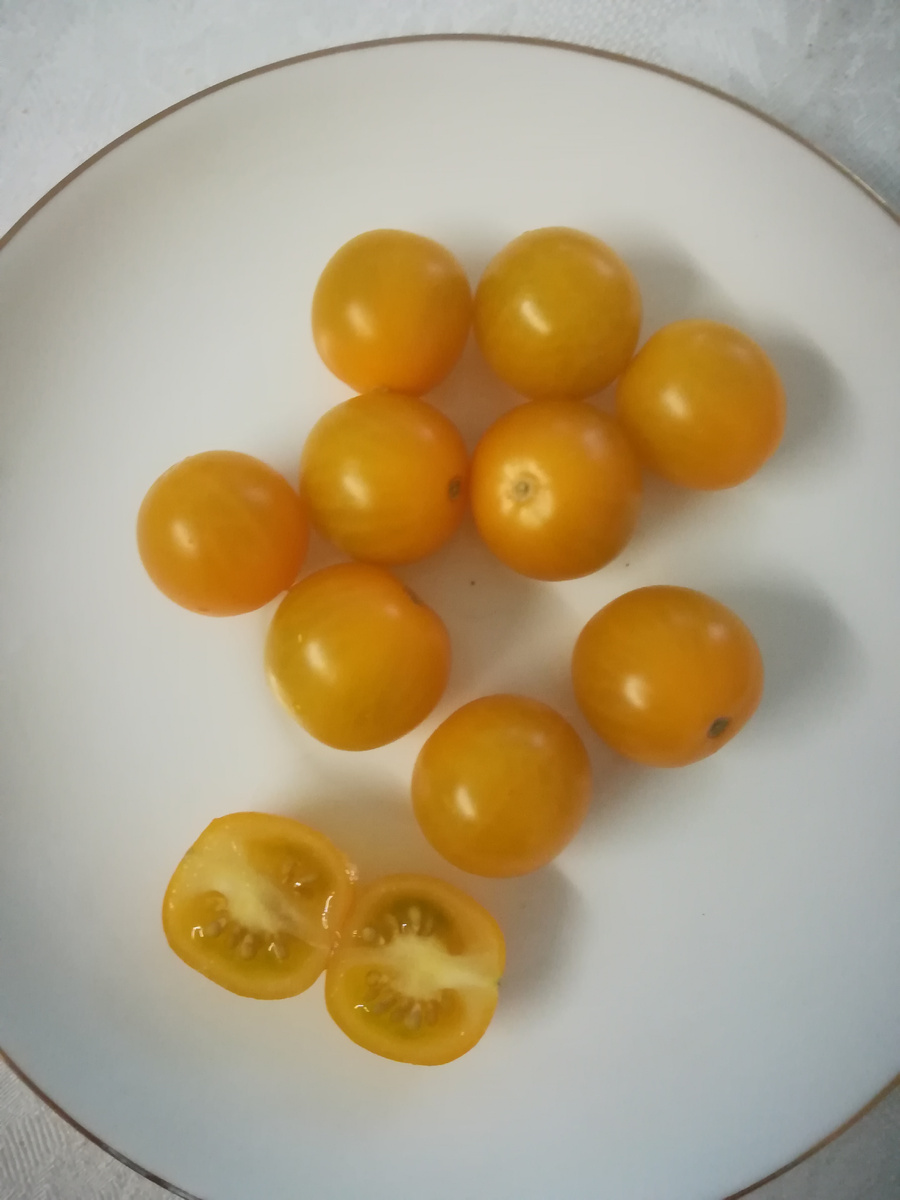 Черри "Краски"