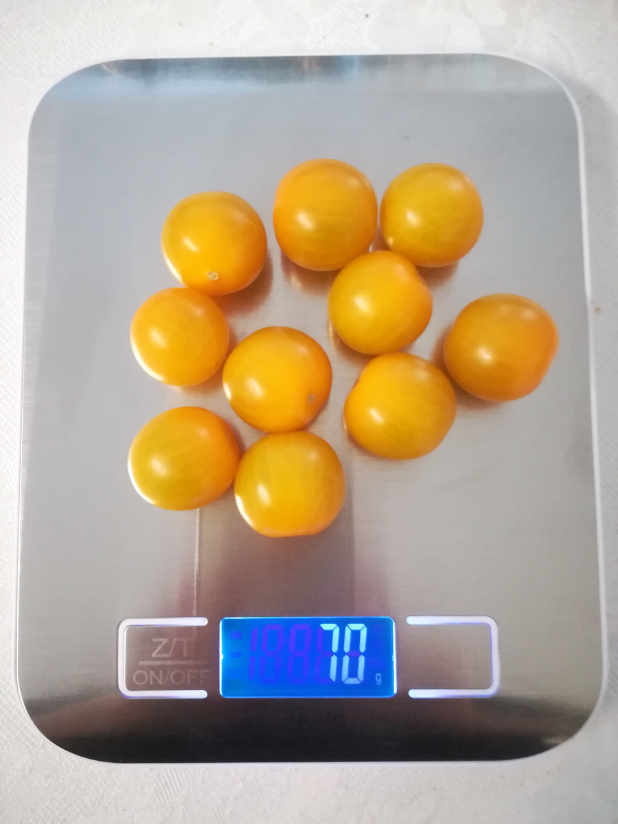 Черрики вкусные, сладкие, не растрескиваются, не опадают 