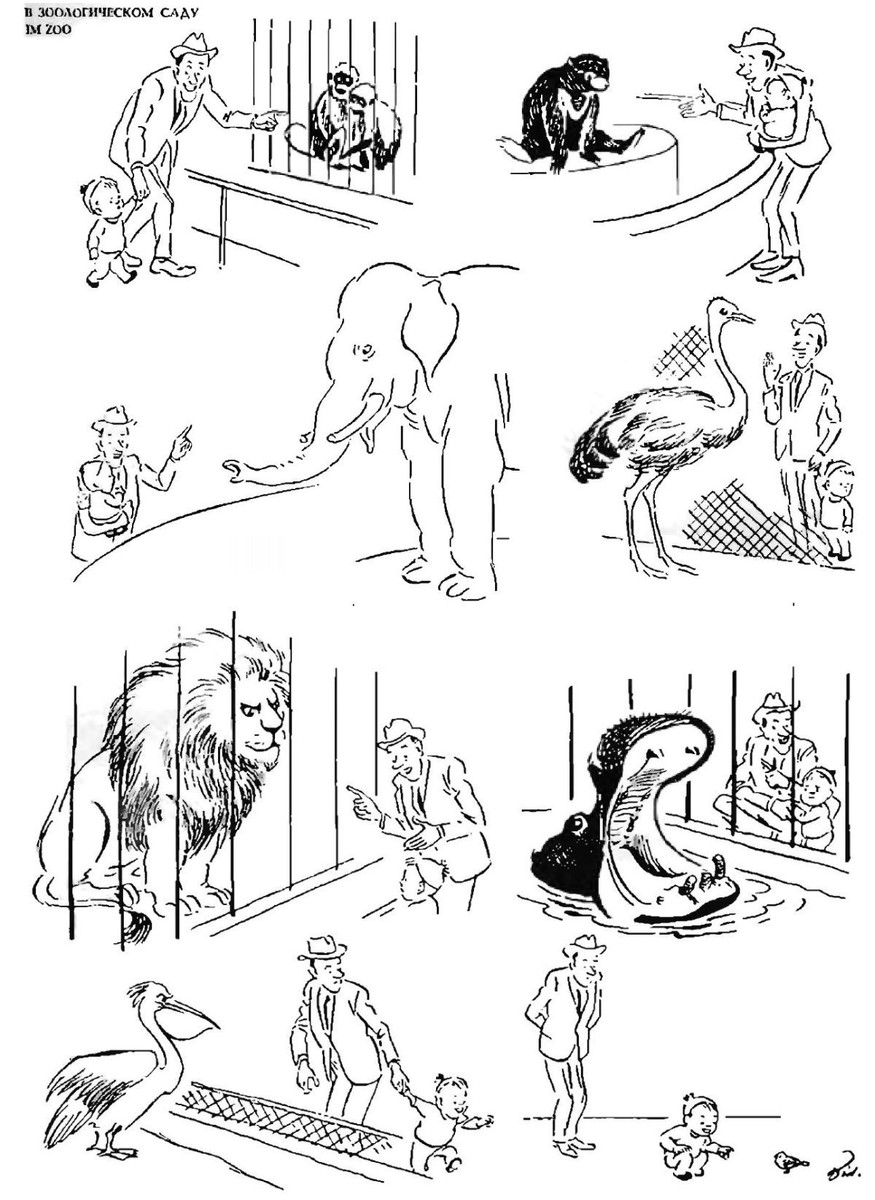 В Зоологическом саду