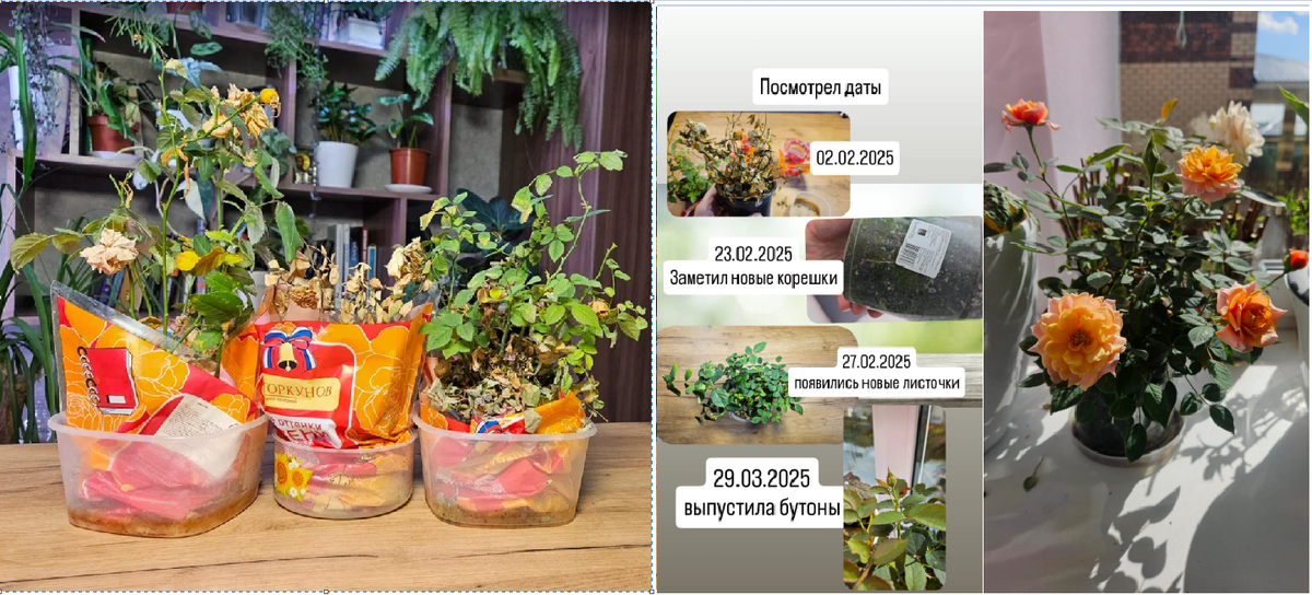 слева - было, справа - стало, в середине - по датам