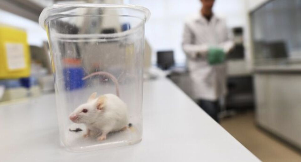    РИА «Новости»