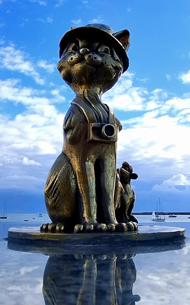 Котики Евпатории 