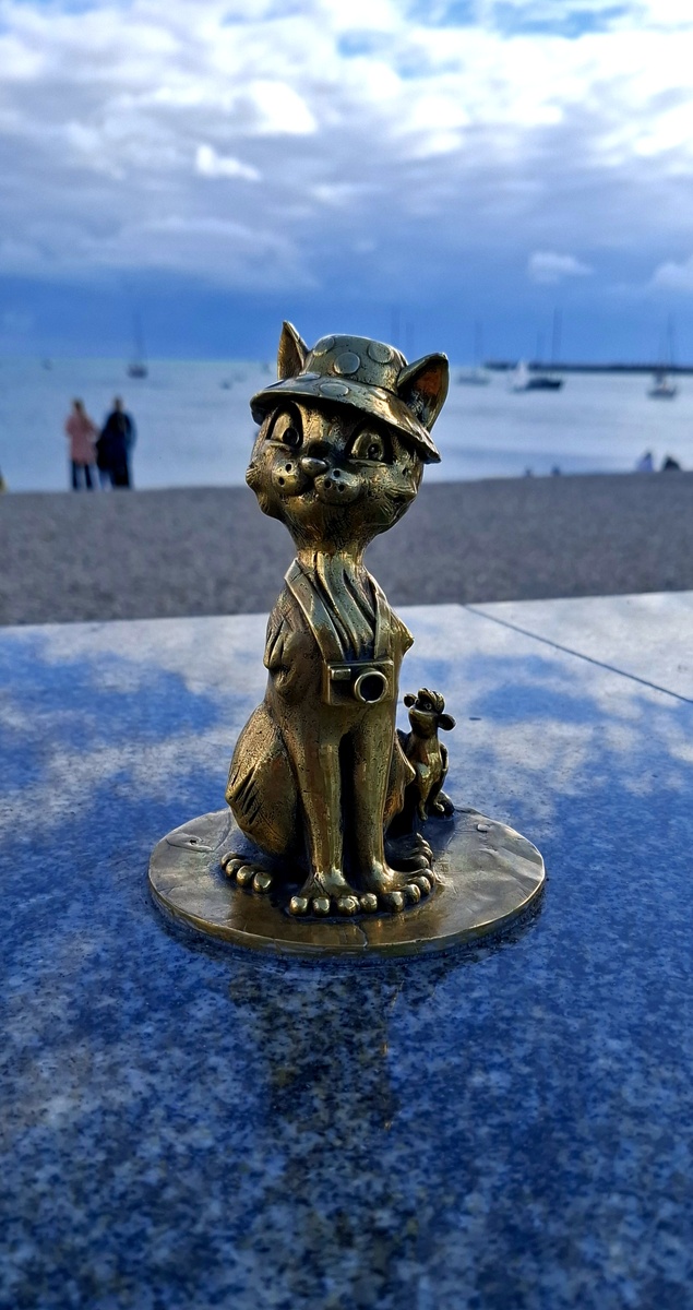 Котики Евпатории 