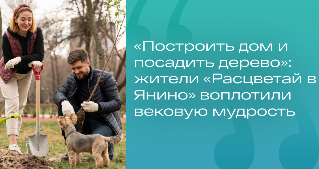 «Построить дом и посадить дерево»: жители «Расцветай в Янино» воплотили вековую мудрость