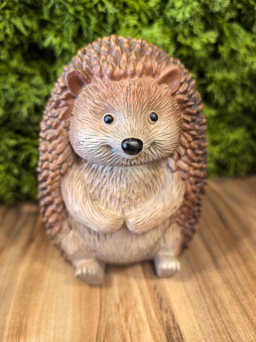 Первенец из Kuchenland