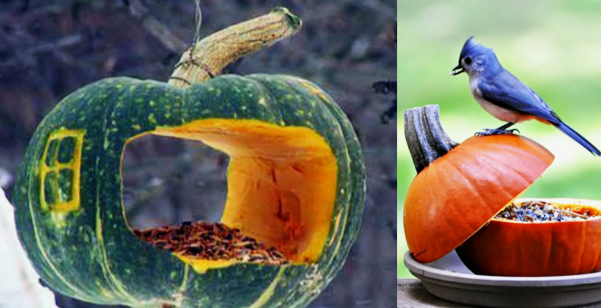 Укрытия на зиму