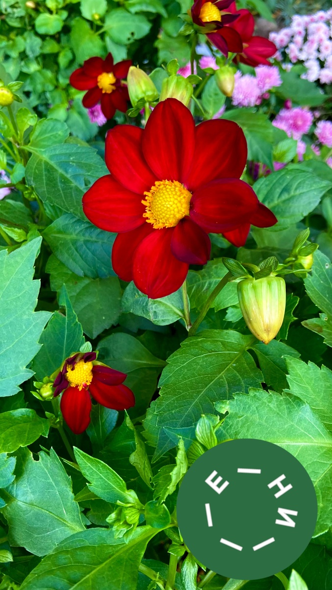 Головоломка