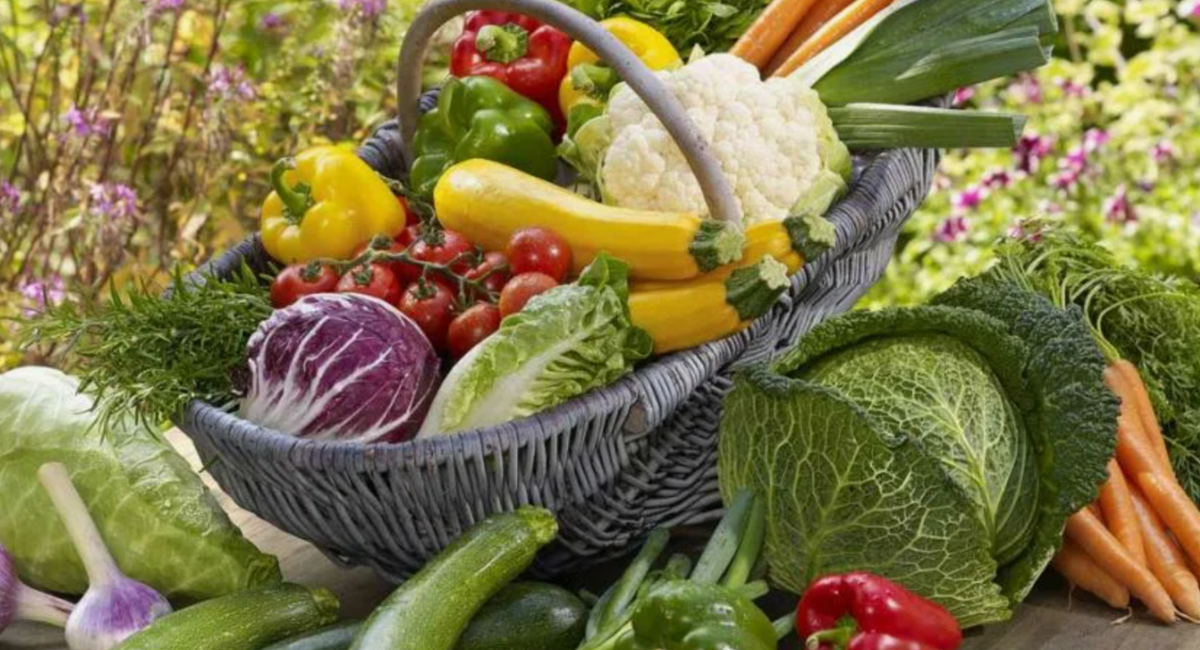 Всё, что выросло на участке, должно остаться на нём