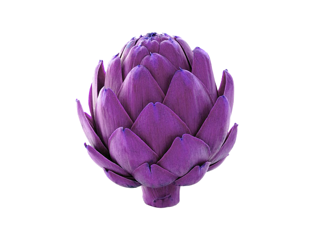 это просто артишок