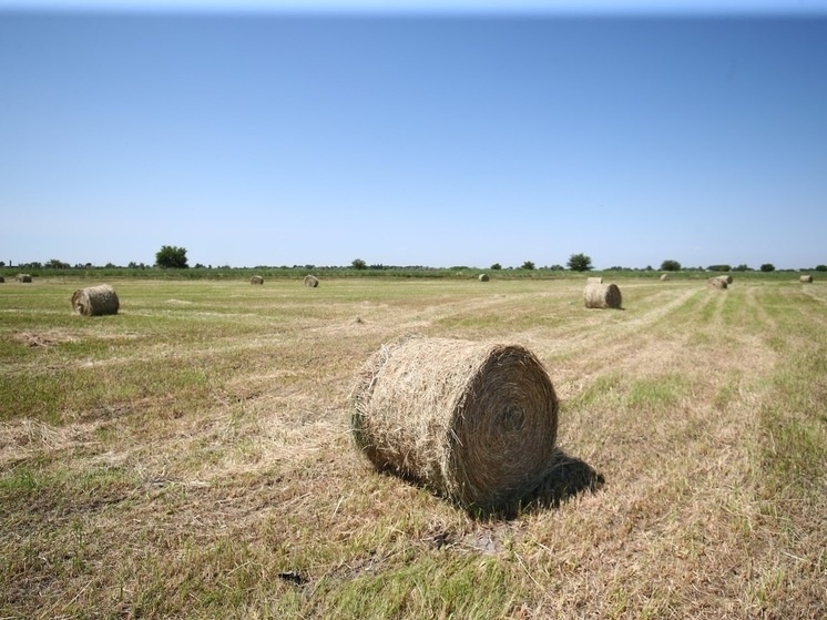     © Фото: ИД «Волгоградская правда» / Кирилл Брага / Архив.