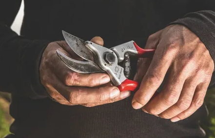 Затупился секатор? Верните ему остроту, не выходя из дома