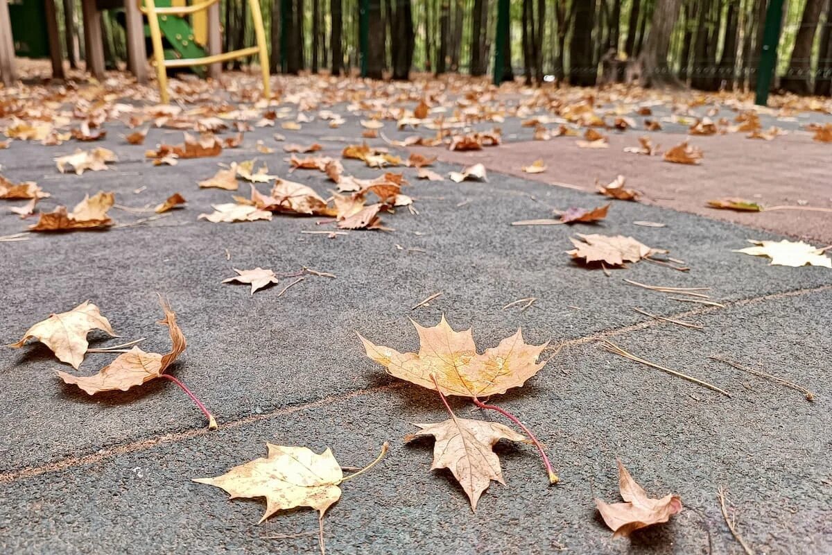 Фото: UfaTime.ru