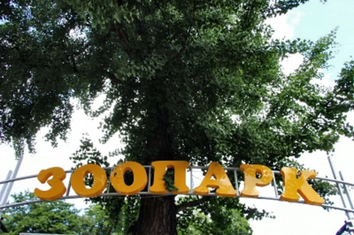    700-тысячному посетителю Калининградский зоопарк подарил ценные призы