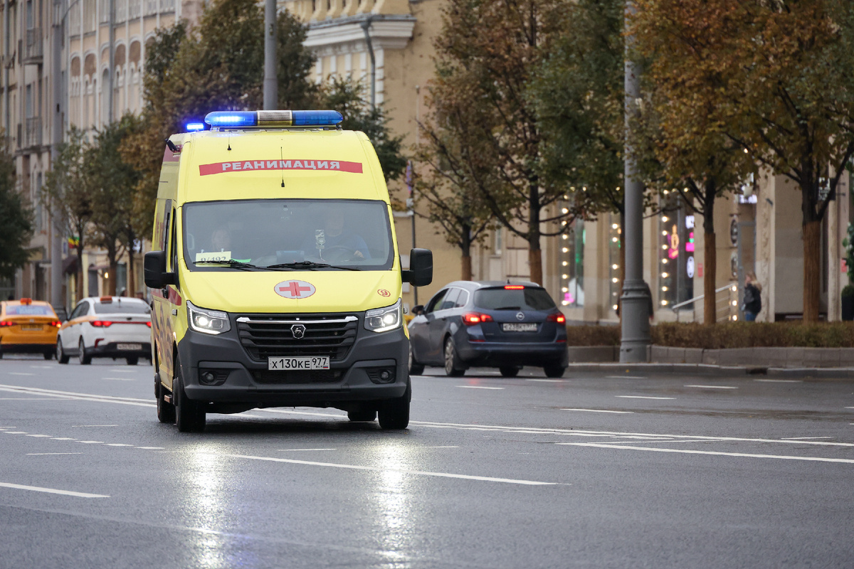 Фото: Belkin Alexey