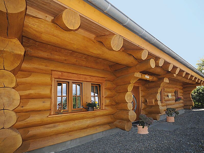 Источник изображения - https://i.pinimg.com/1200x/a5/f9/cb/a5f9cb078af85e9fc6034c47e925e415.jpg