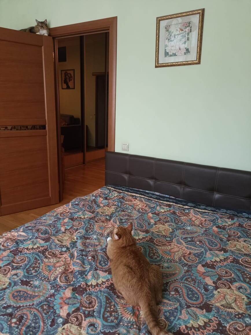 Таисия перед очередным полетом