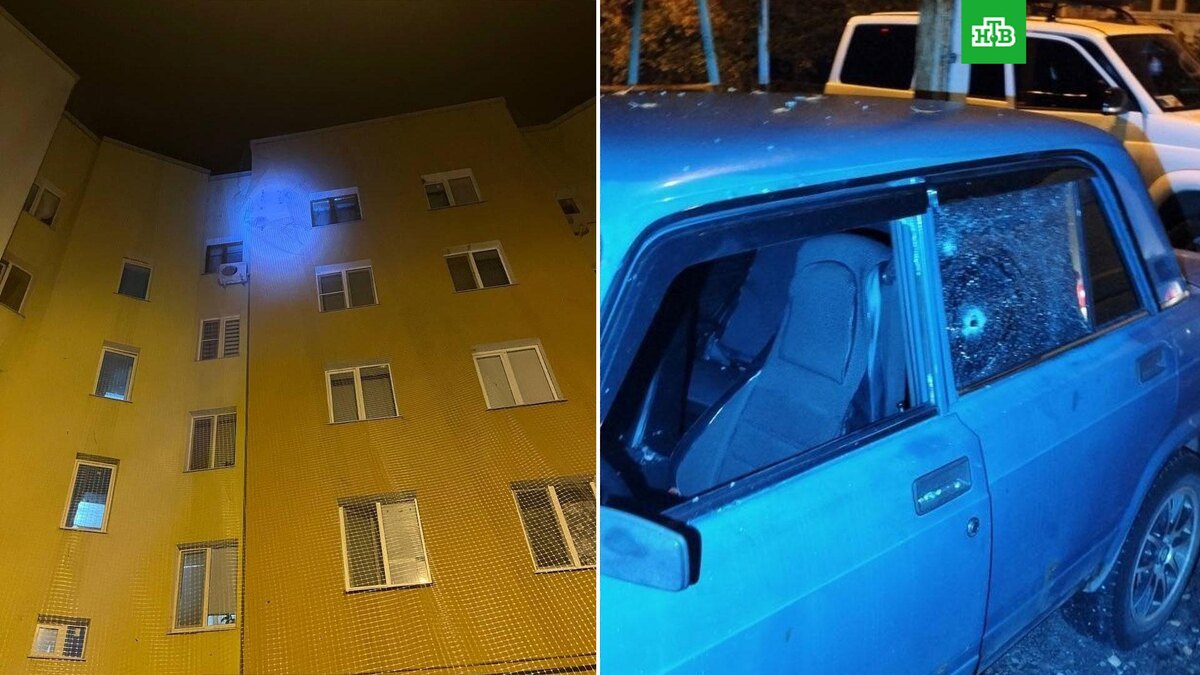    Фото: @vvgladkov / t.me