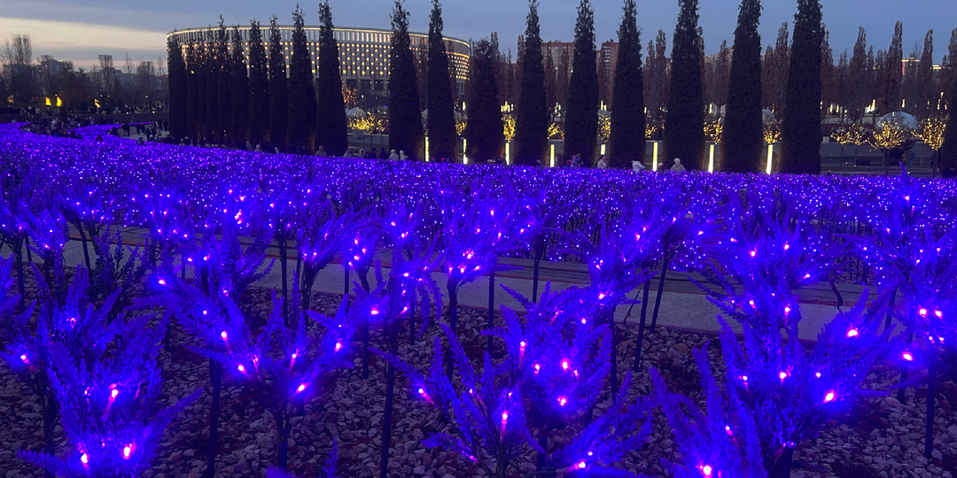 Парк Галицкого. Самый крутой парк в России?